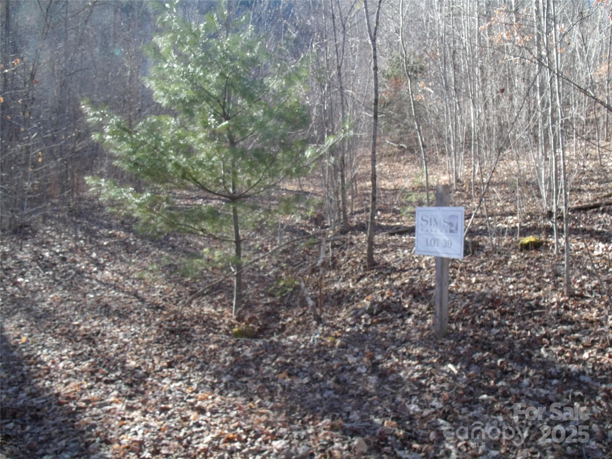 Lot at Lot 39 Sweet Spring Trail, Glenville, photo 7 of 27