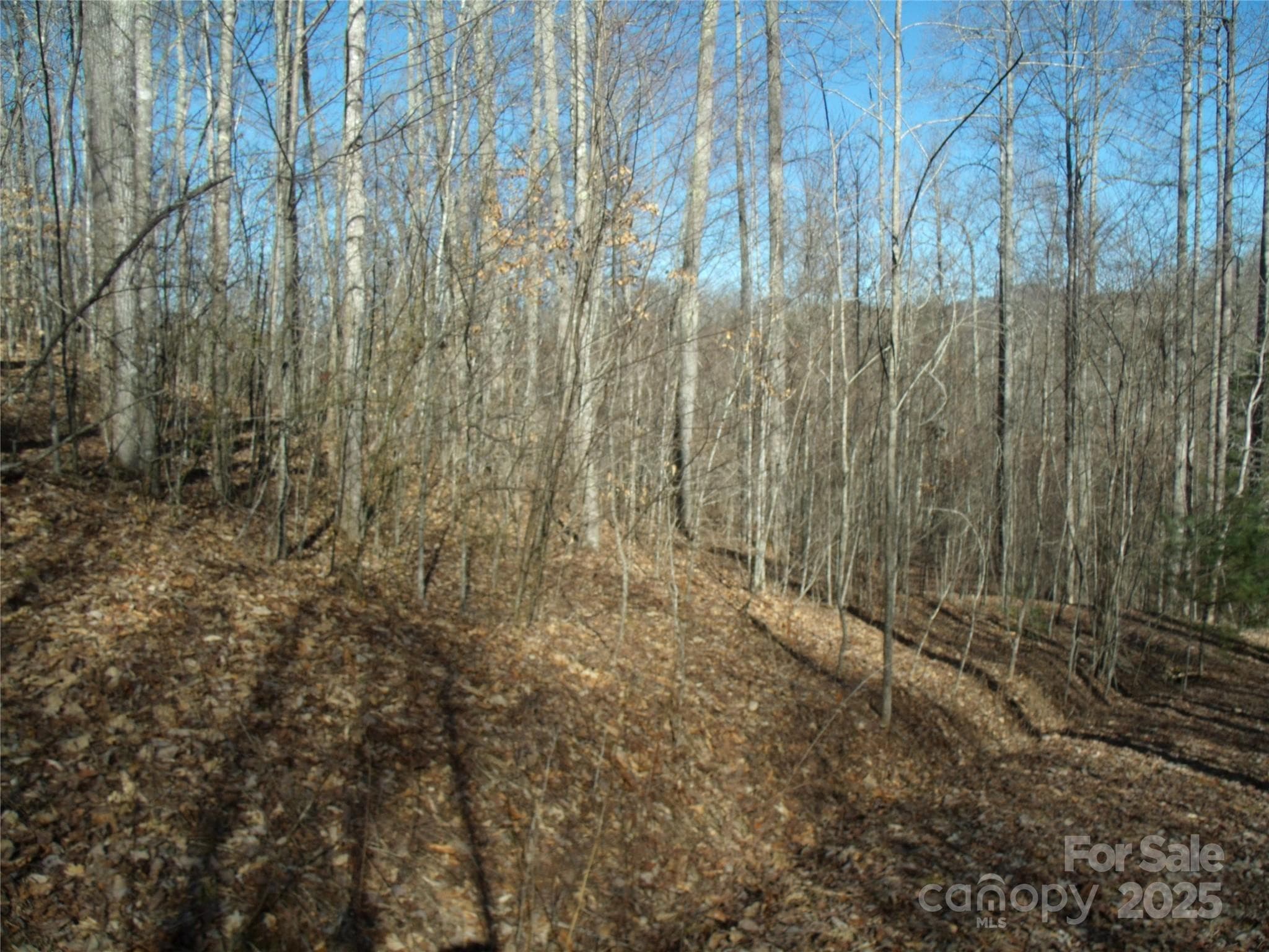 Gentle lot with hills for better views and level area for a nice yard. - Lot 39 Sweet Spring Trail, Glenville