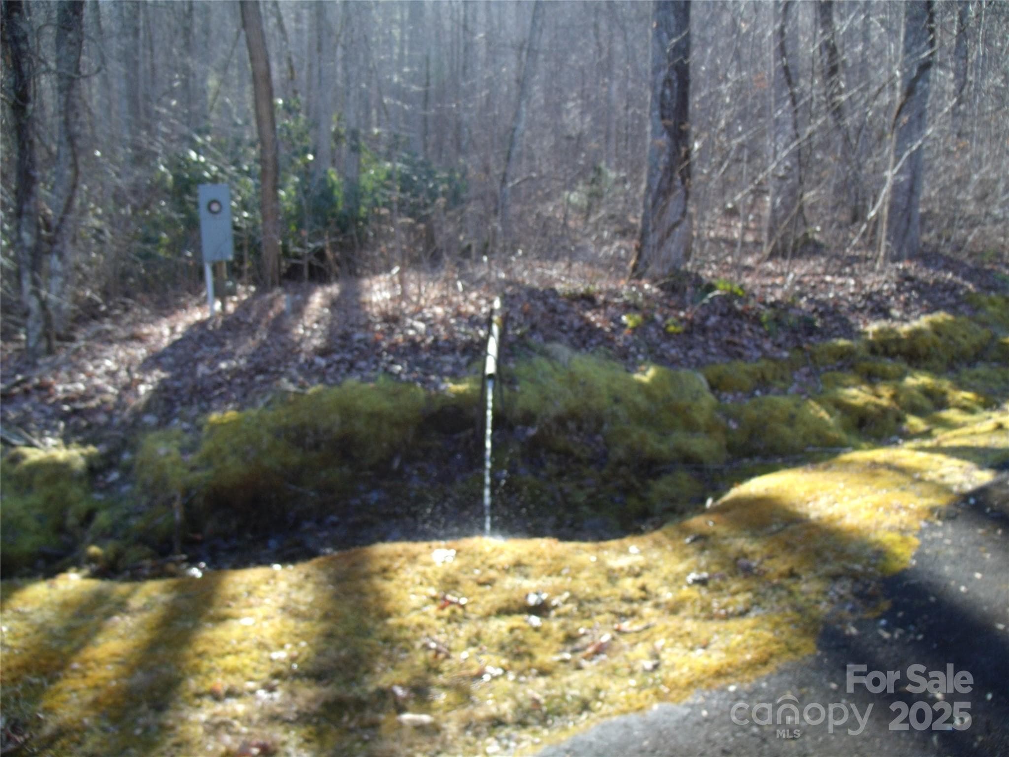 Nearby active spring - Lot 39 Sweet Spring Trail, Glenville