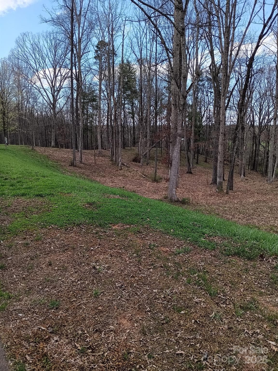 Lot at 128 Backrush Court, Statesville, photo 21 of 21