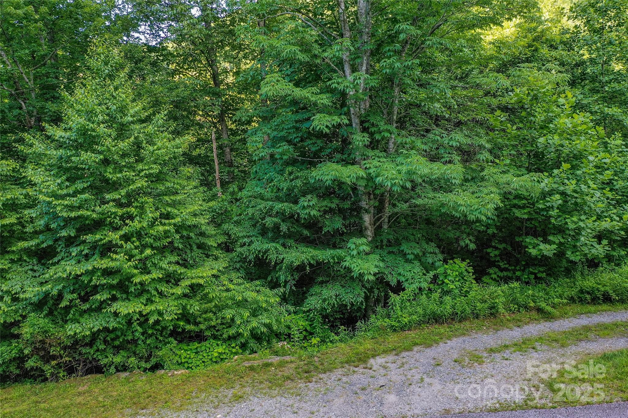 Lot 13 at the corner of Waterdance Drive and Hares Ear Ln - Lot 13 Hares Ear Lane, Tuckasegee