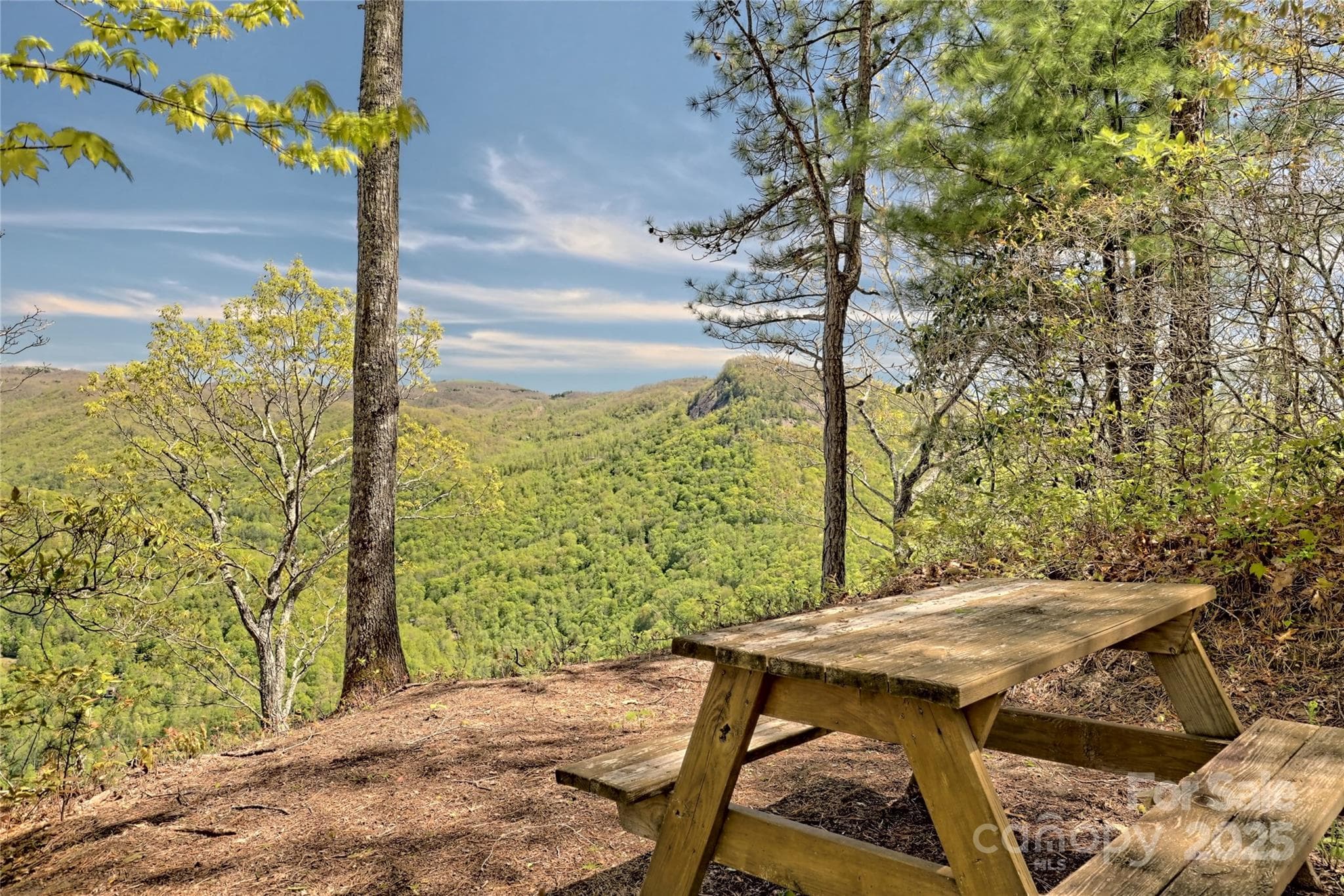 Lot at Lot 13 Hares Ear Lane, Tuckasegee, photo 20 of 23