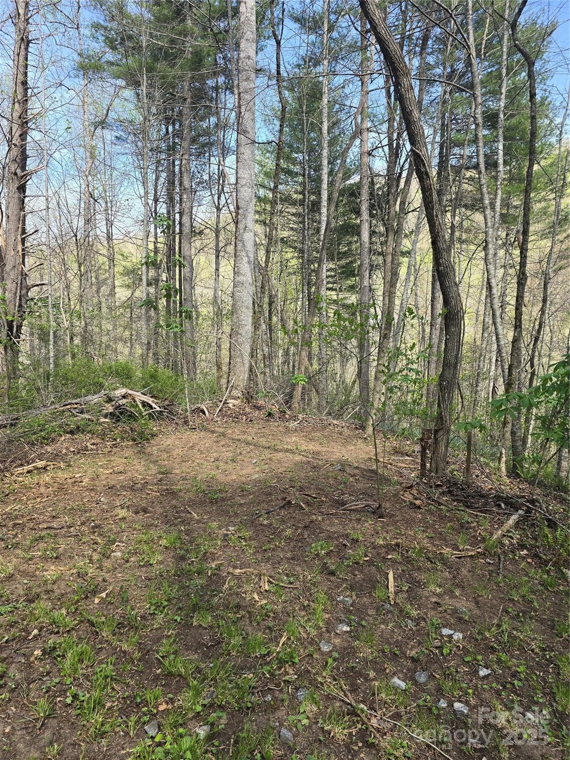Potential House Site - Lot 13 Hares Ear Lane, Tuckasegee