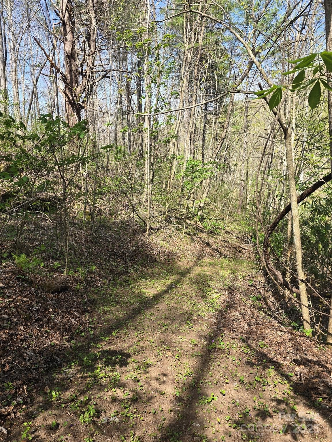 New Trail Cut from HOA Trail on Adjoining Lot 12 down through 13 to the river - Lot 13 Hares Ear Lane, Tuckasegee