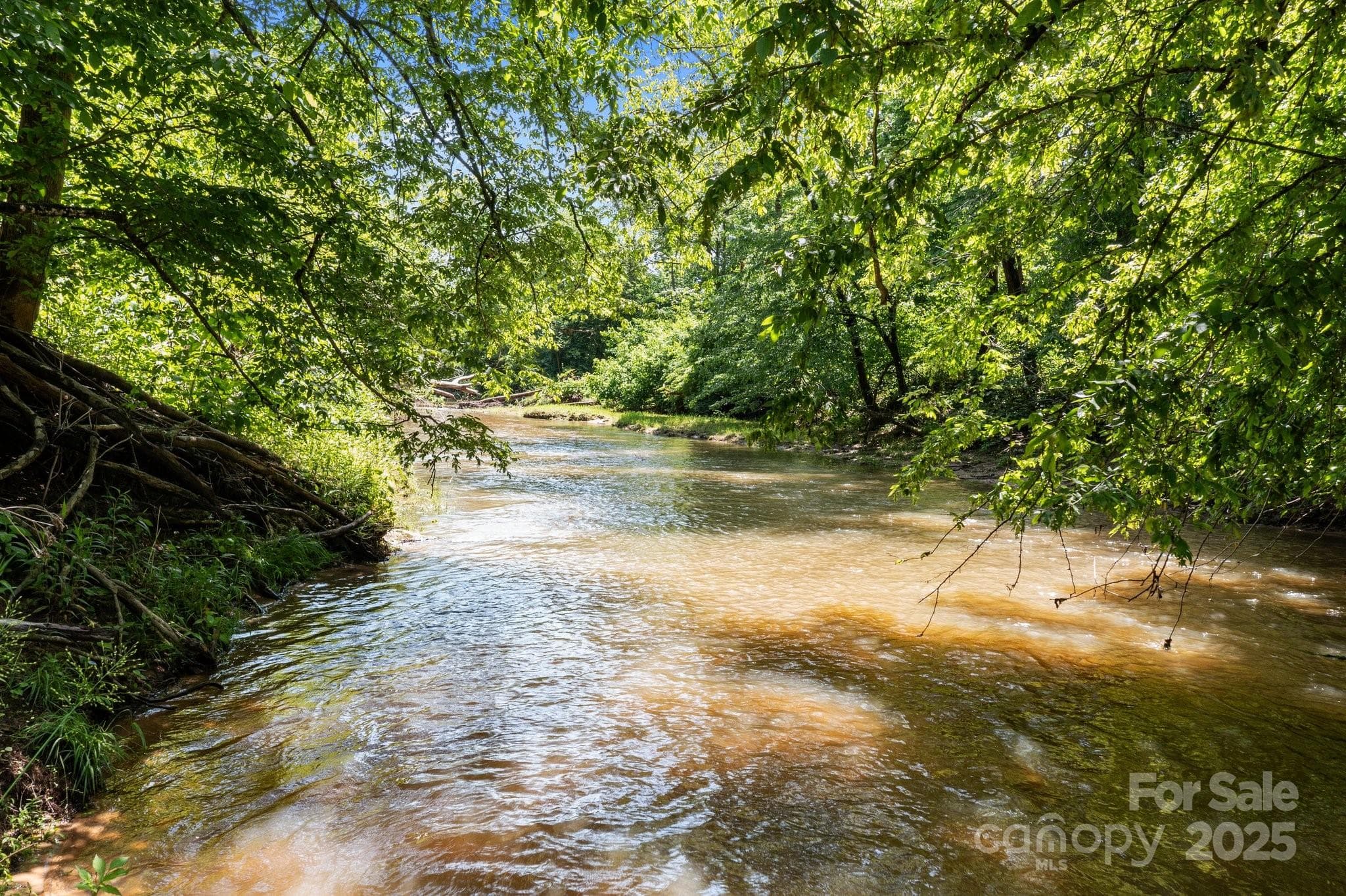 Acreage at 437 Linneys Mill Road, Union Grove, photo 2 of 16