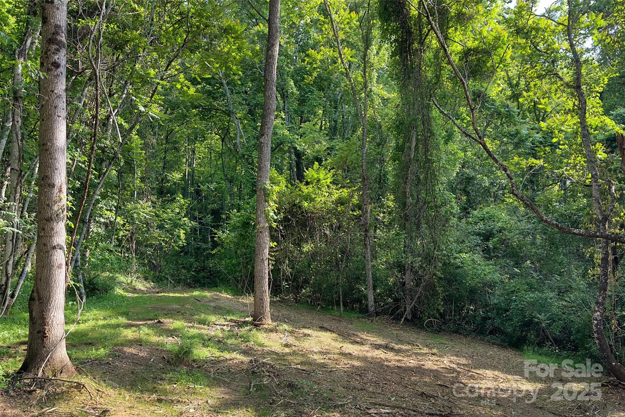 Acreage at V/L Smith Knolls Road, Fairview, photo 12 of 31