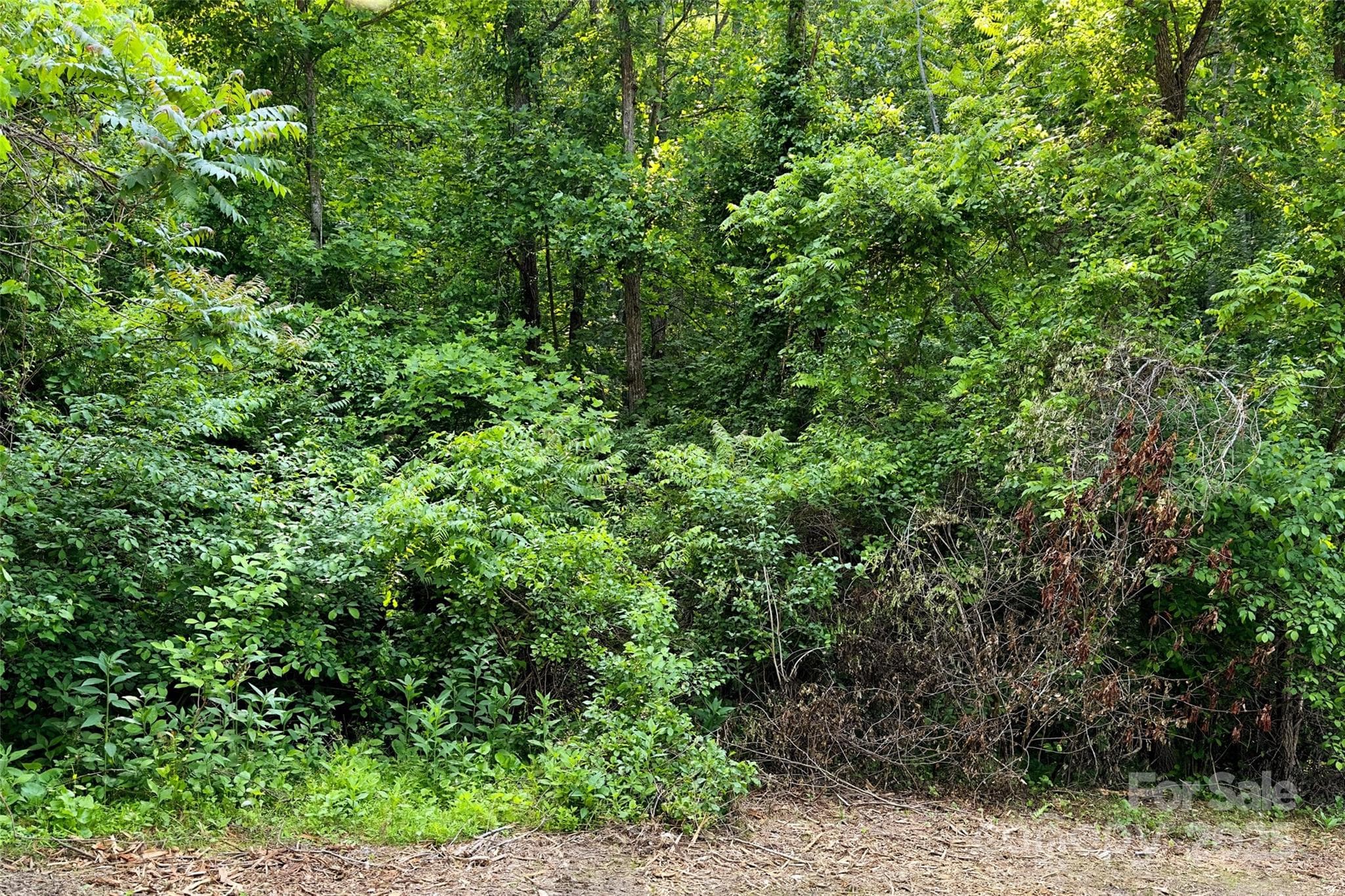 Acreage at V/L Smith Knolls Road, Fairview, photo 16 of 31