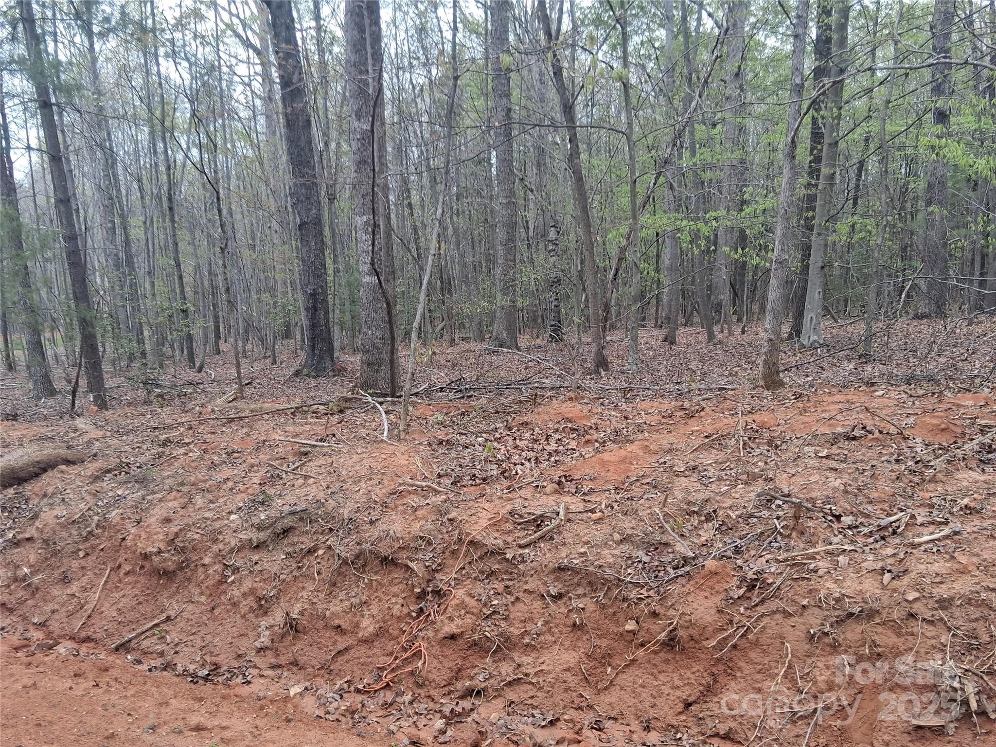 Lot at Morganton, photo 19 of 34