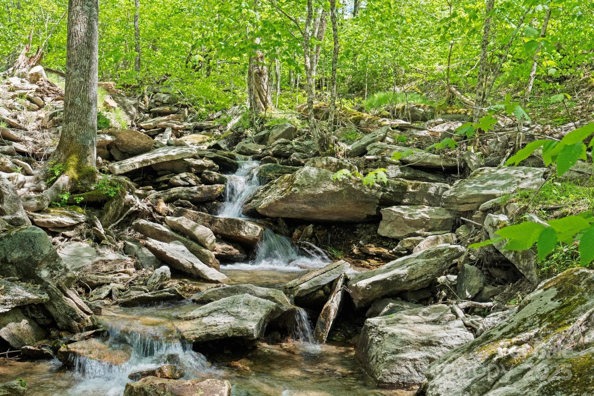 Beech Creek - 140 Spruce Hollow Road, Beech Mountain