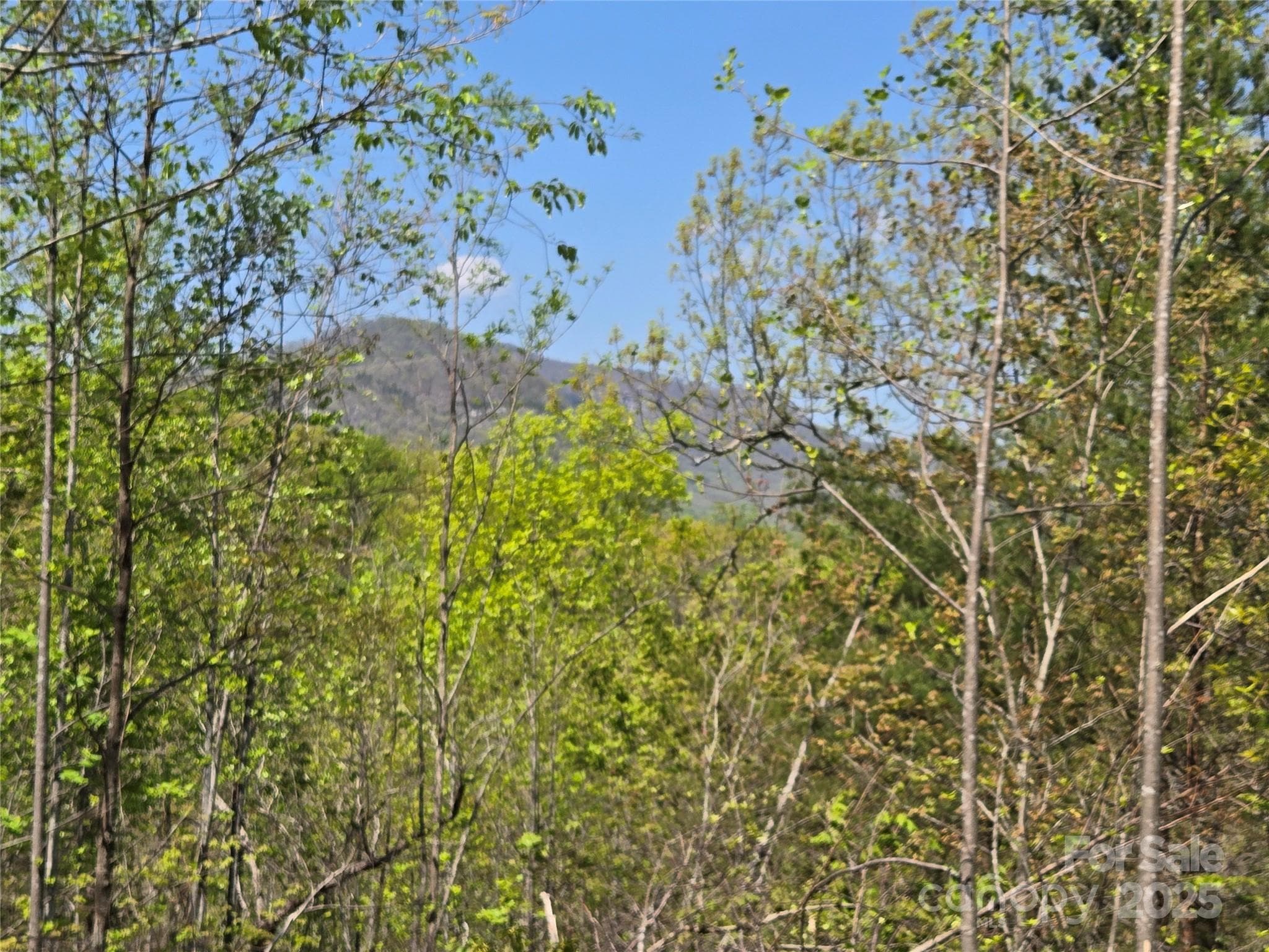 Lot at Lake Lure, photo 3 of 23