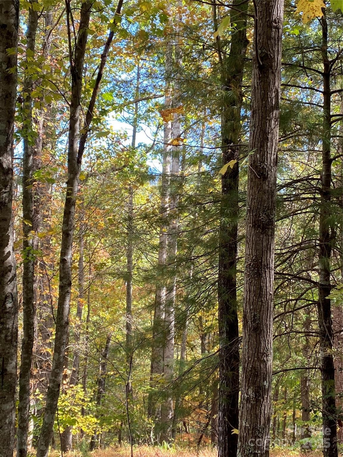 Lot at Lake Lure, photo 8 of 20