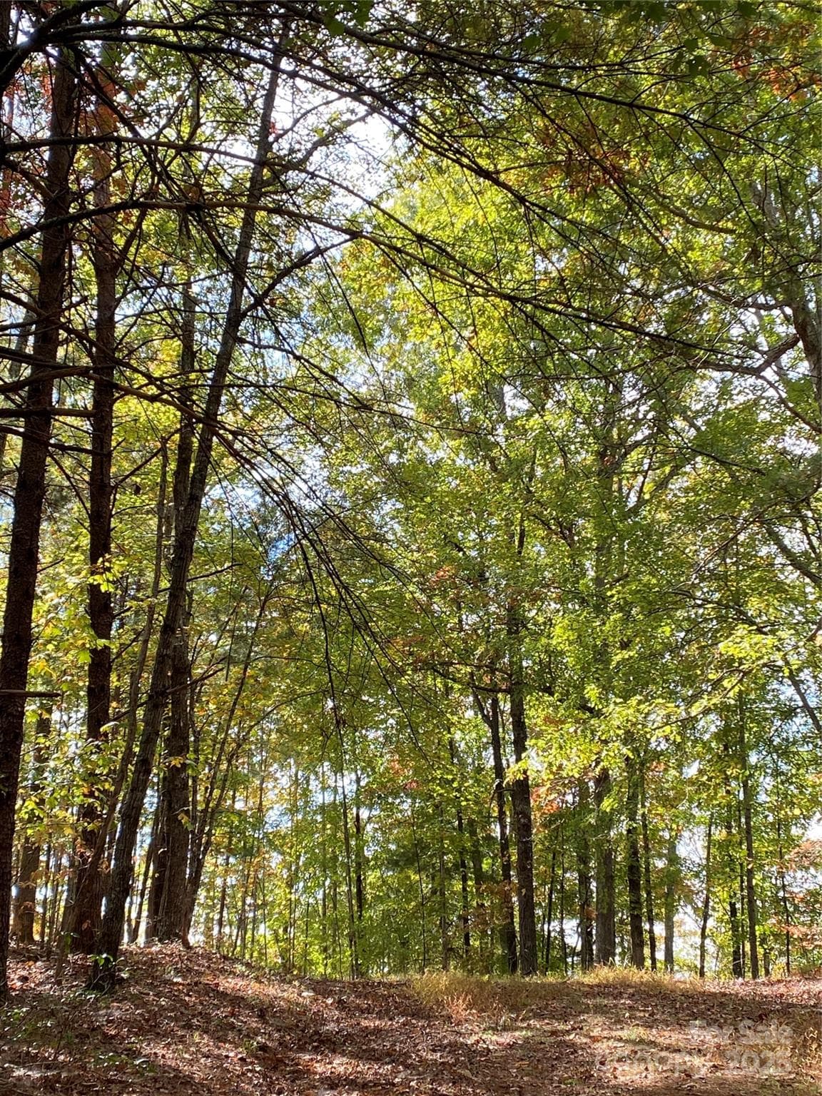 Lot at Lake Lure, photo 9 of 20