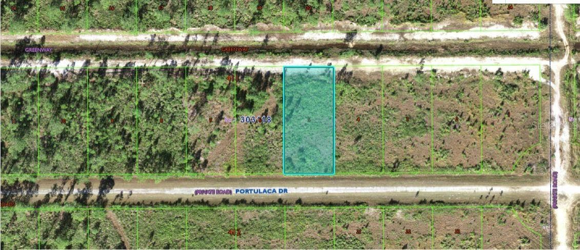 710 PORTULACA DR