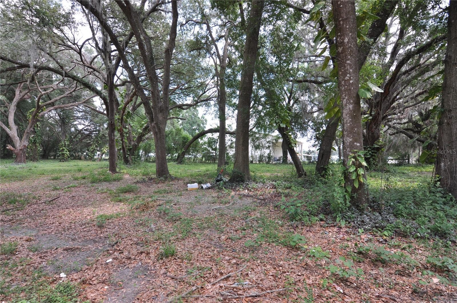 Land at 6734 20TH ST, ZEPHYRHILLS, photo 2 of 6