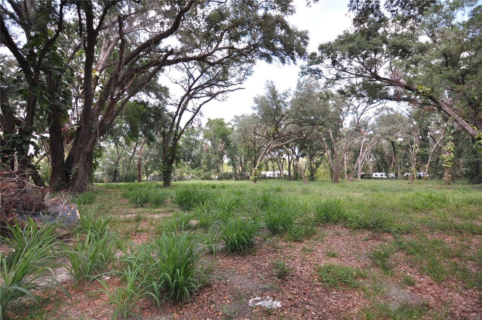 Land at 6734 20TH ST, ZEPHYRHILLS, photo 3 of 6