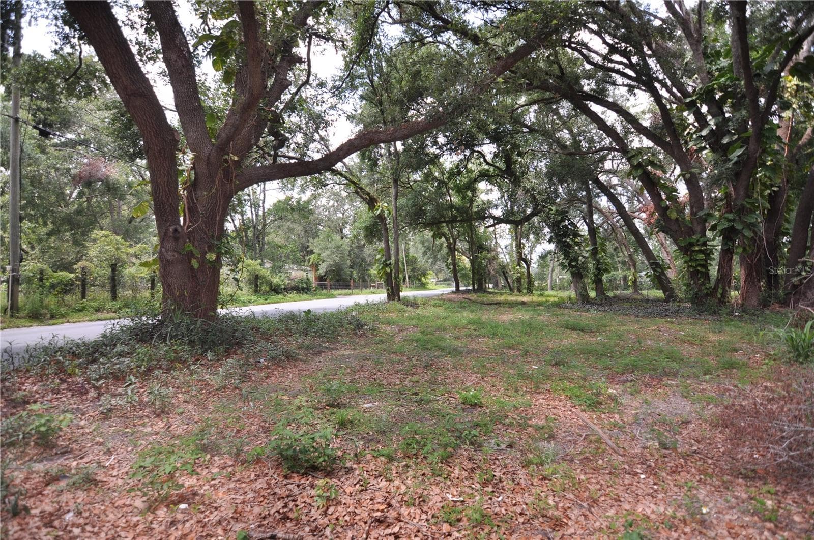 Land at 6734 20TH ST, ZEPHYRHILLS, photo 4 of 6