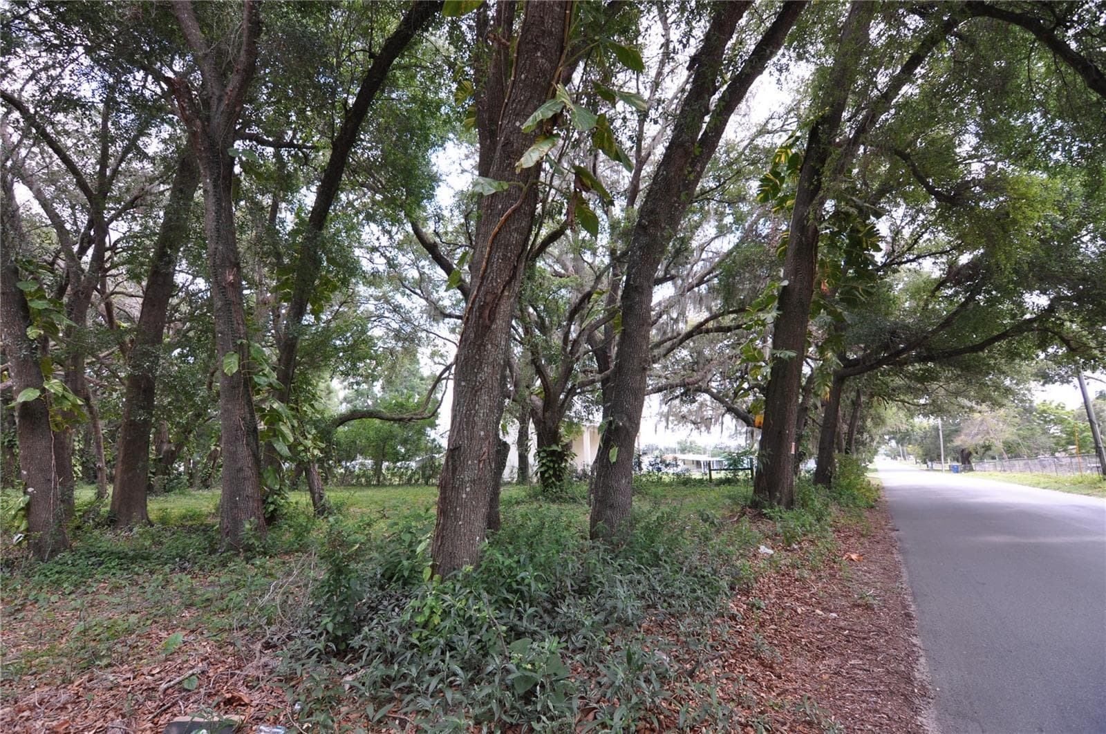 Land at 6734 20TH ST, ZEPHYRHILLS, photo 5 of 6
