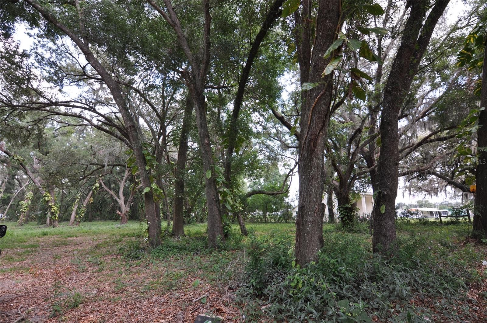 Land at 6734 20TH ST, ZEPHYRHILLS, photo 6 of 6