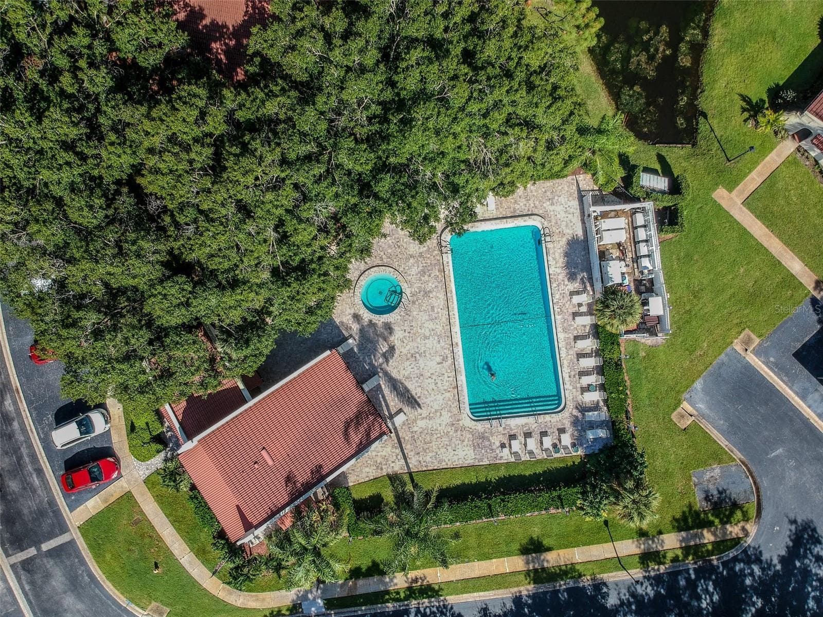 Community pool - 3476 TARPON WOODS BLVD, PALM HARBOR