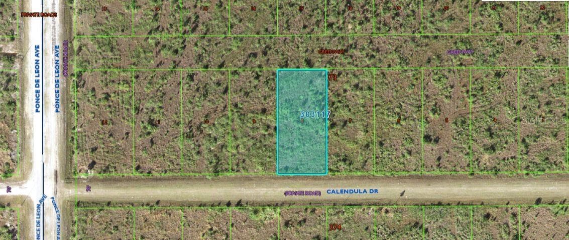 316 CALENDULA DR