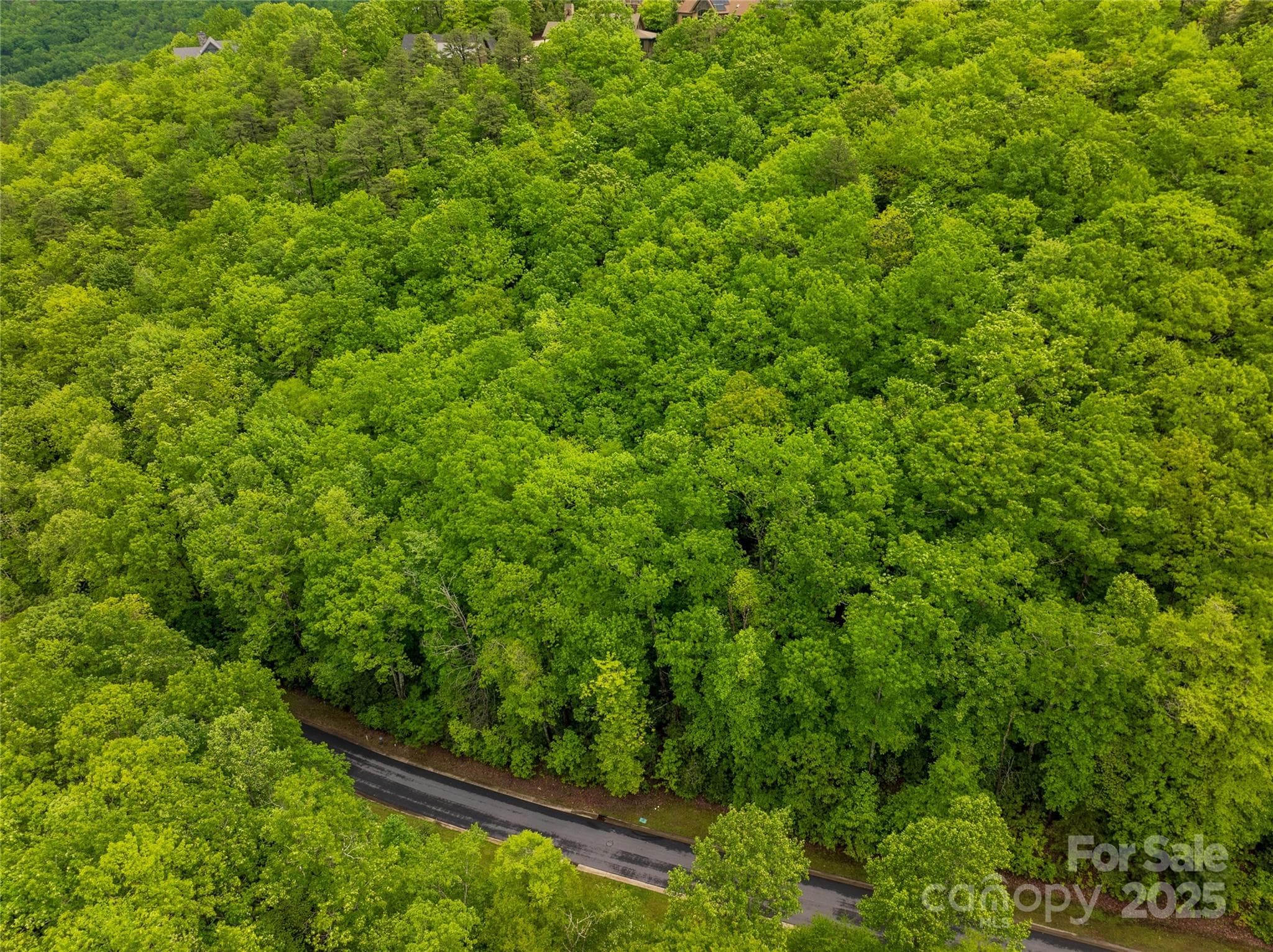 Drone shot looking down on lot - 52 Settings Boulevard, Black Mountain