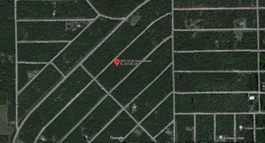 Land at 209 SE PARADISE LAKES, GEORGETOWN, photo 5 of 6