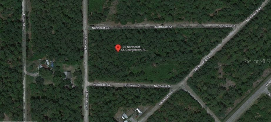 Land at 103 NORTHEAST CT, GEORGETOWN, photo 5 of 6