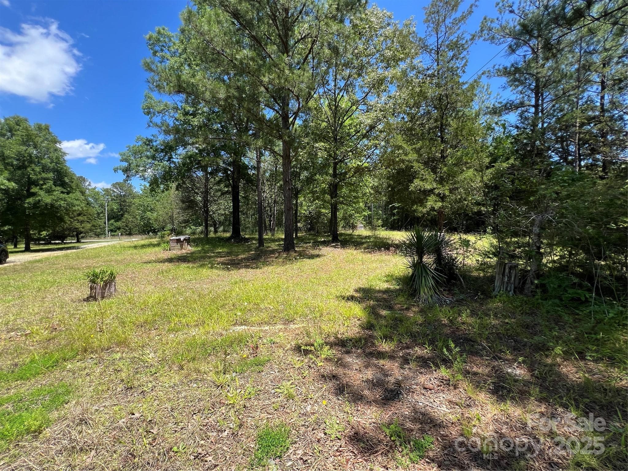 Acreage at 5655 Shirley Road, Fort Lawn, photo 7 of 23