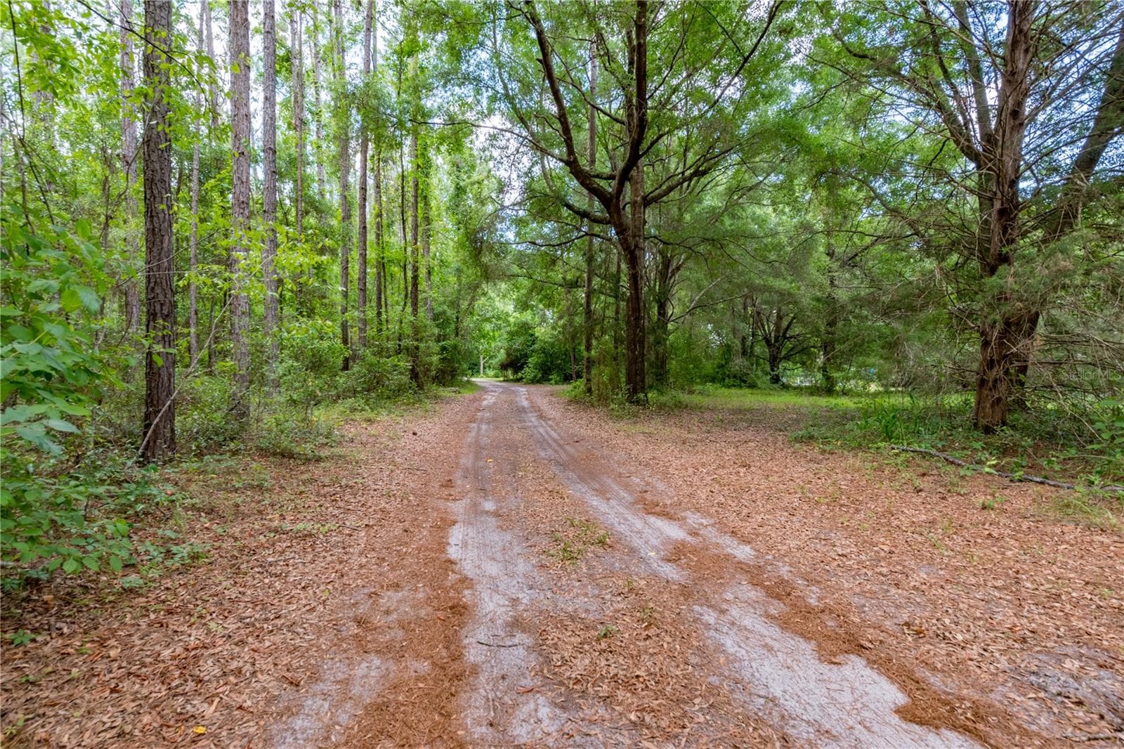 Land at 23227 W NEWBERRY RD, NEWBERRY, photo 25 of 31