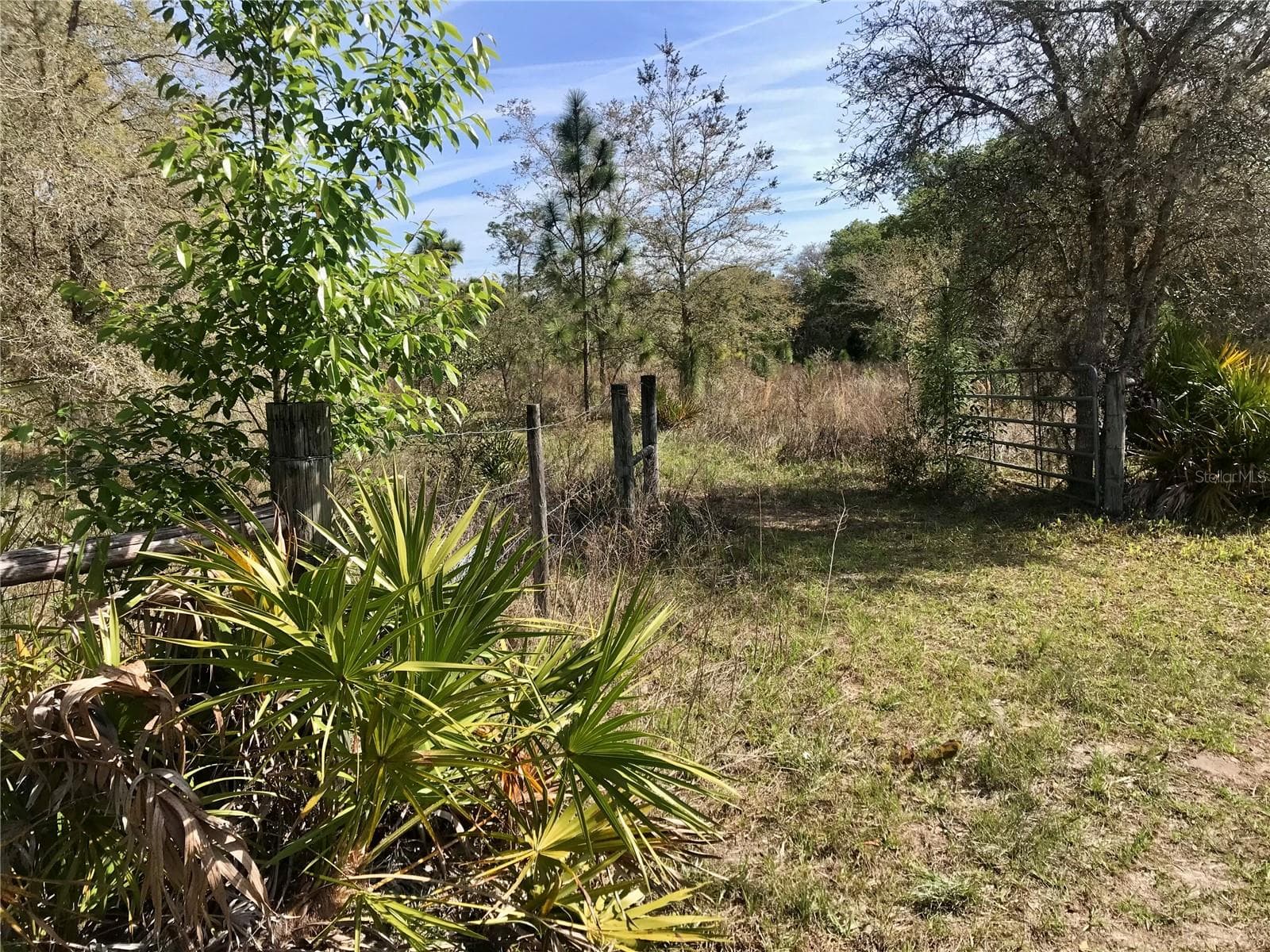 Land at 01 UNNAMED, SPRING HILL, photo 41 of 100