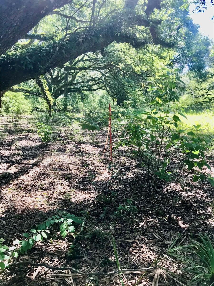 Land at 01 UNNAMED, SPRING HILL, photo 52 of 100