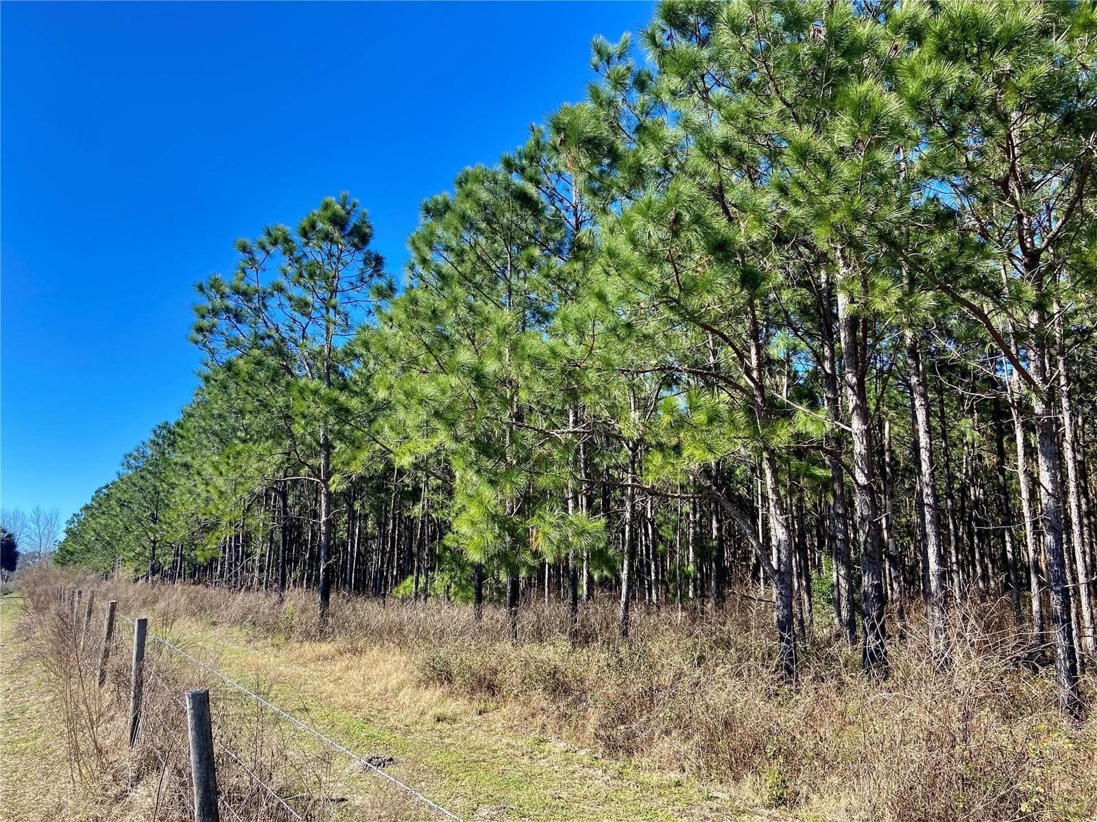 Land at 01 UNNAMED, SPRING HILL, photo 55 of 100