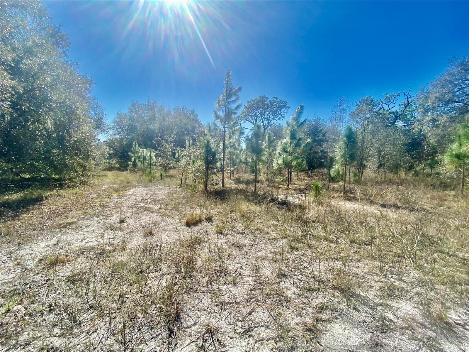 Land at 01 UNNAMED, SPRING HILL, photo 57 of 100
