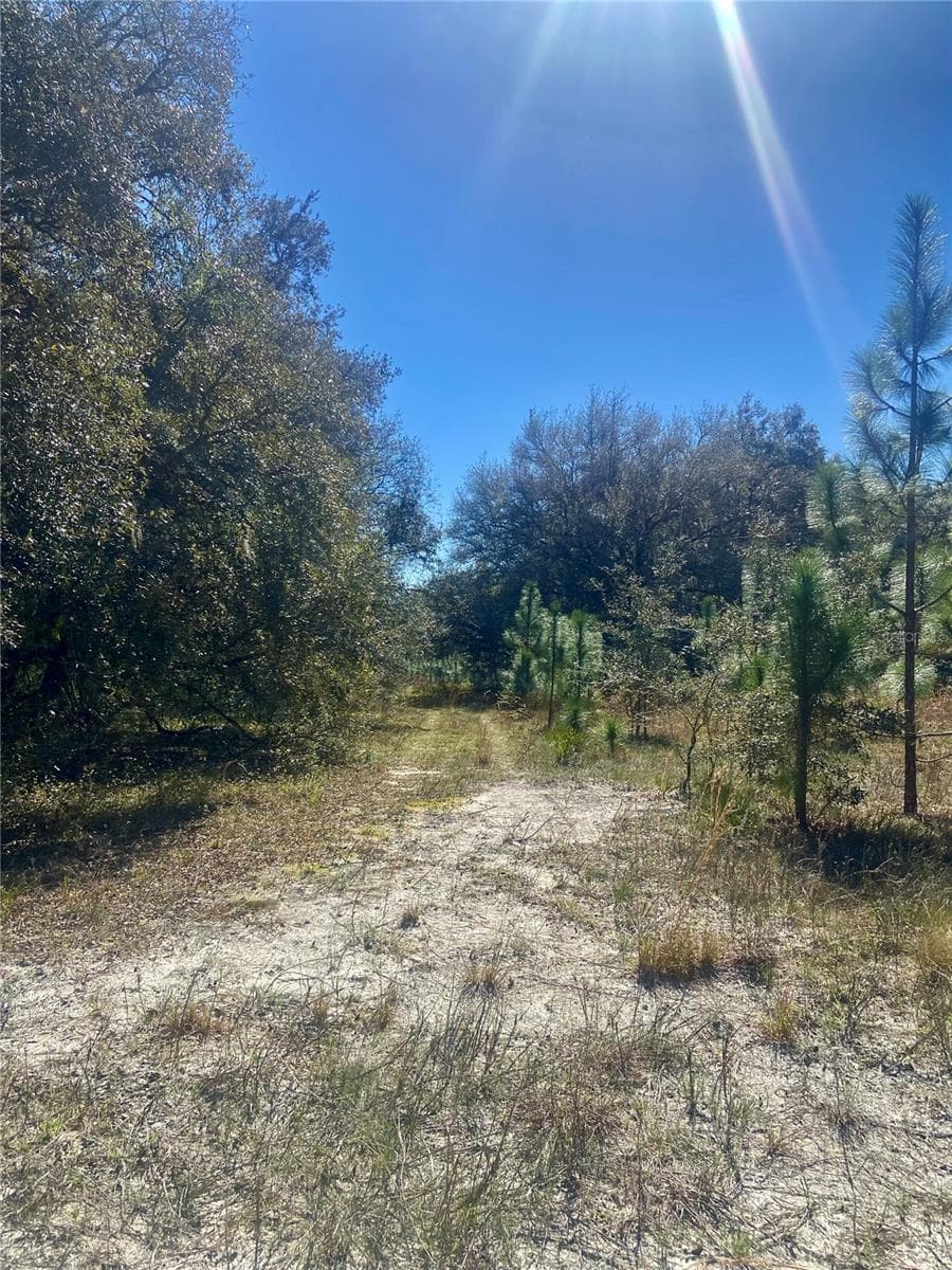 Land at 01 UNNAMED, SPRING HILL, photo 54 of 100