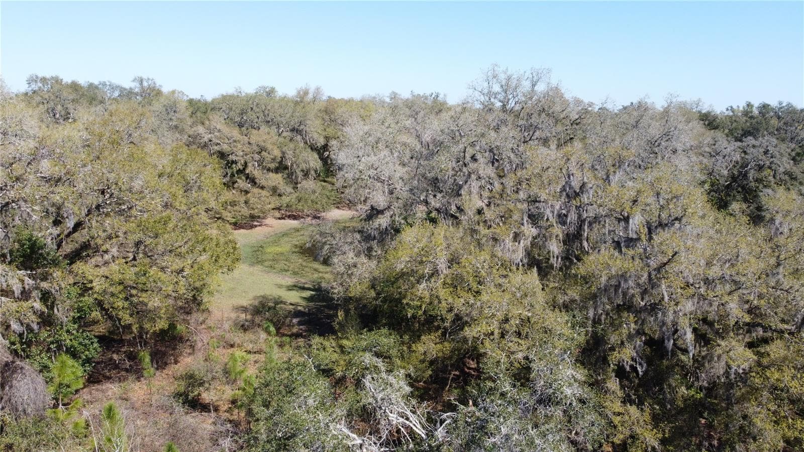 Land at 01 UNNAMED, SPRING HILL, photo 10 of 100