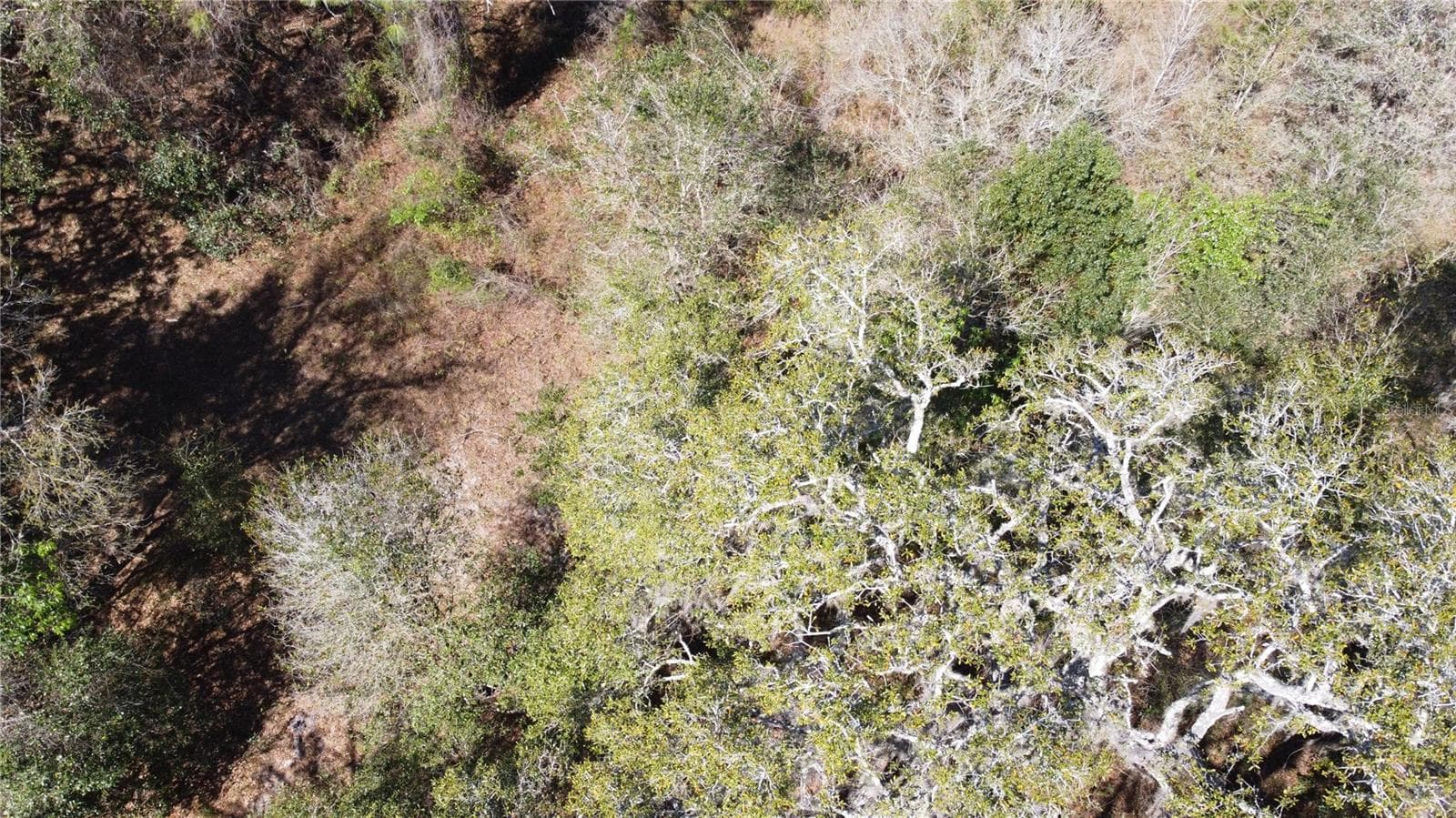 Land at 01 UNNAMED, SPRING HILL, photo 50 of 100