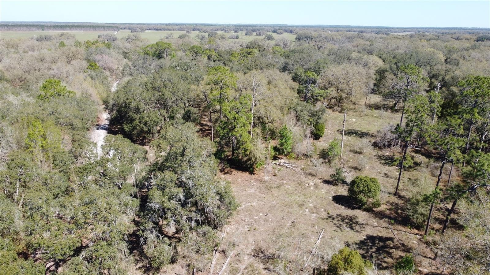 Land at 01 UNNAMED, SPRING HILL, photo 15 of 100