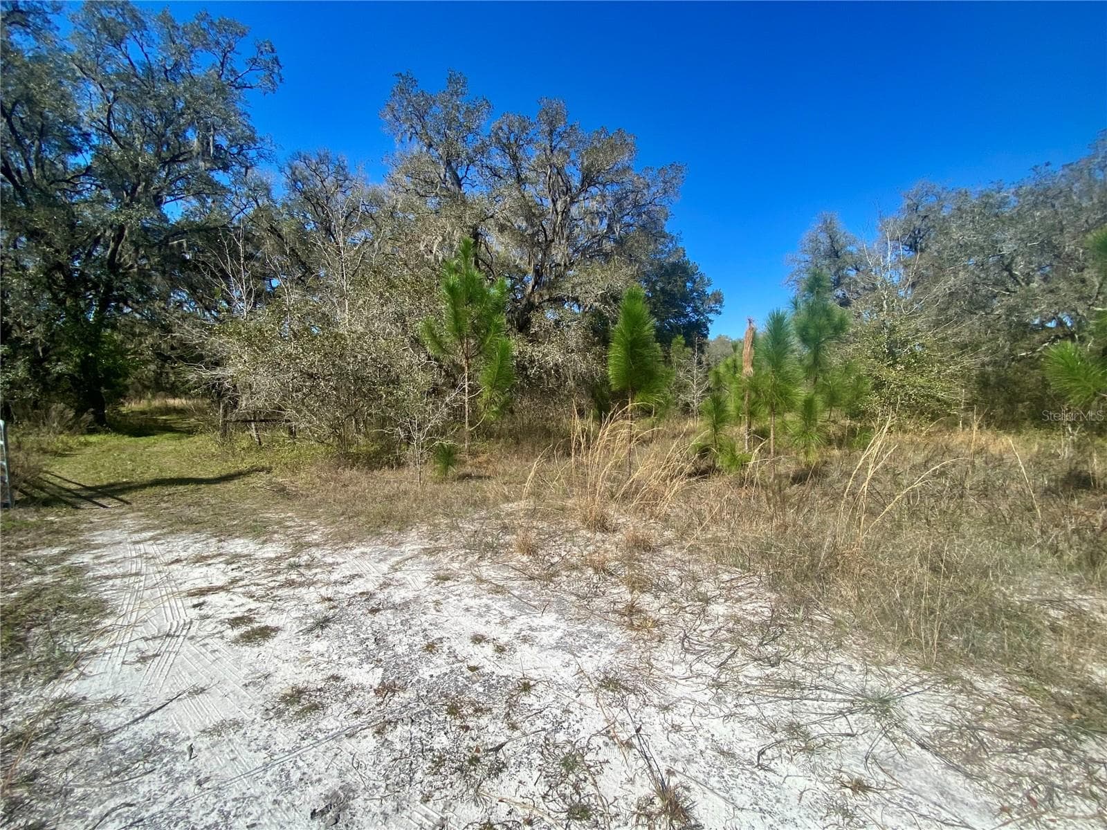 Land at 01 UNNAMED, SPRING HILL, photo 84 of 100
