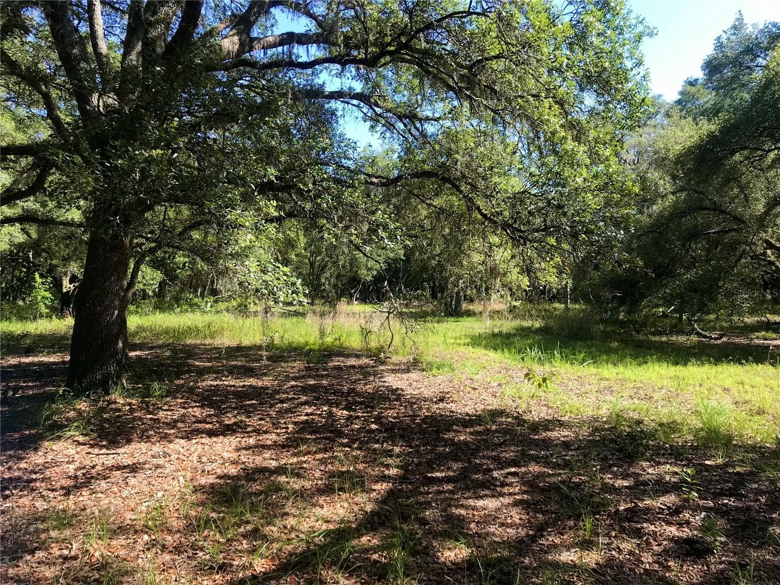 Land at 01 UNNAMED, SPRING HILL, photo 12 of 100