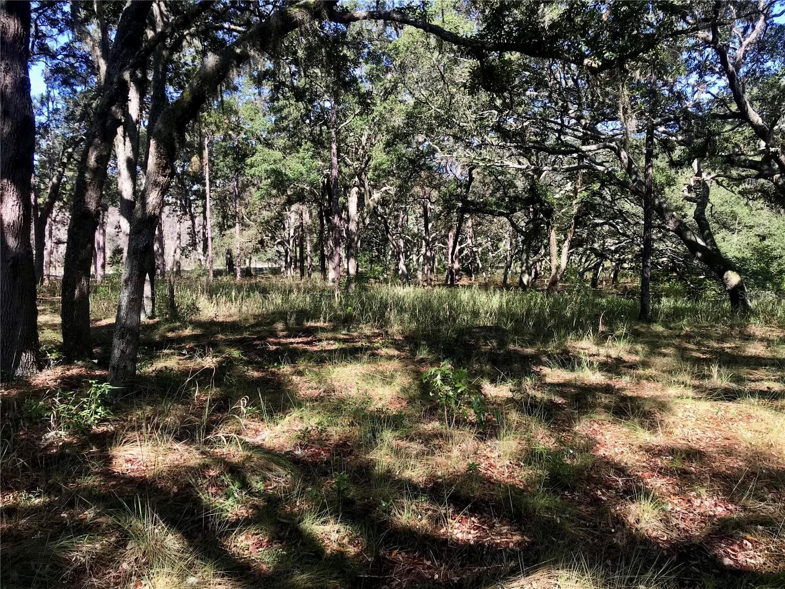 Land at 01 UNNAMED, SPRING HILL, photo 93 of 100