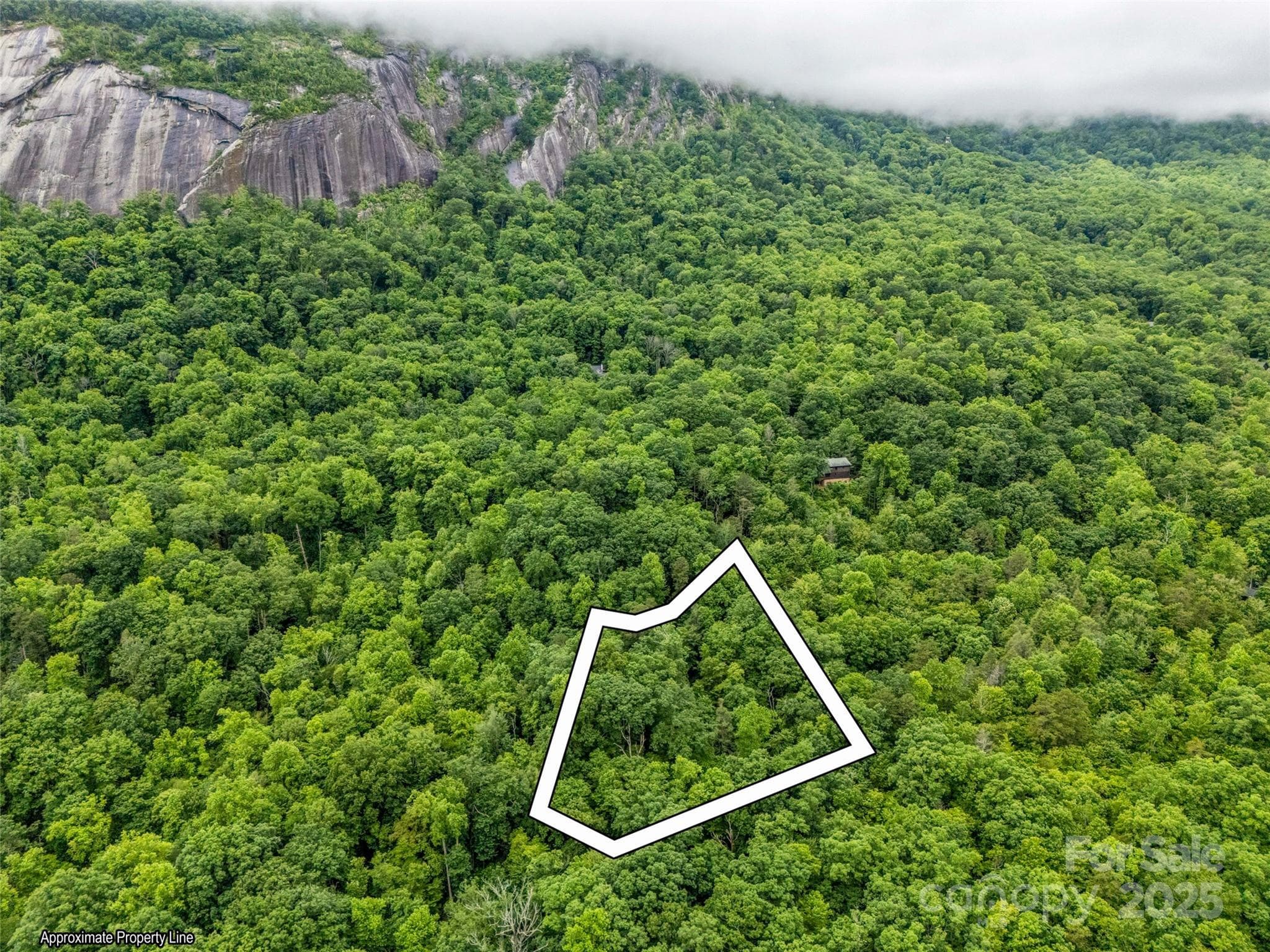 Lot at Lake Lure, photo 2 of 38