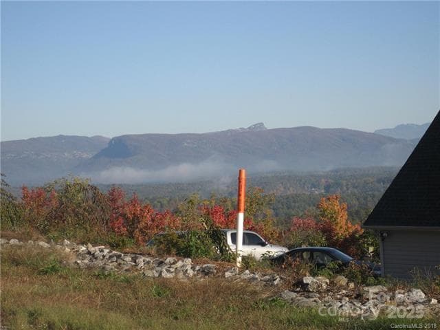 Lot at Nebo, photo 2 of 28