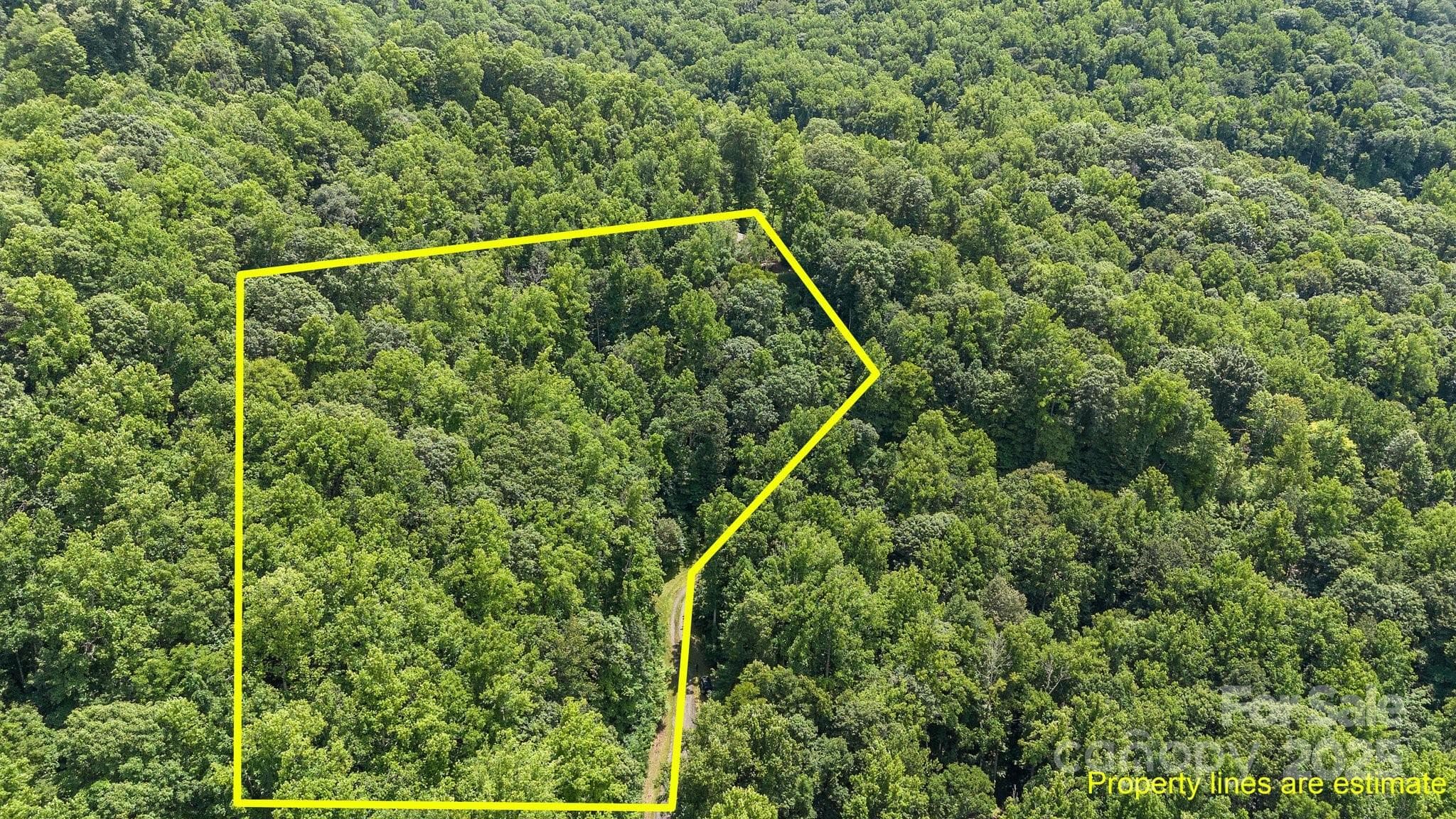 Lot 44 Aerial With Property Lines - #10 & 44 Poplar Path, Mars Hill