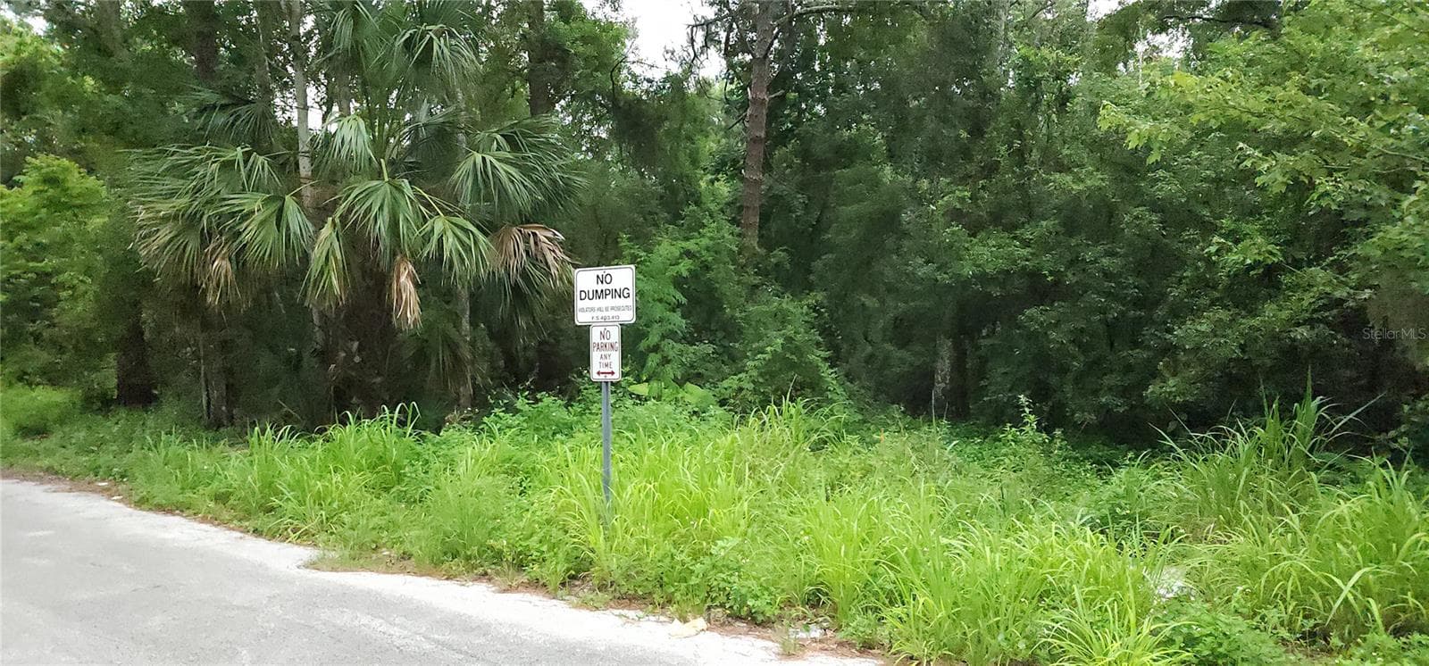 Land at PARK AVE, SANFORD, photo 3 of 3