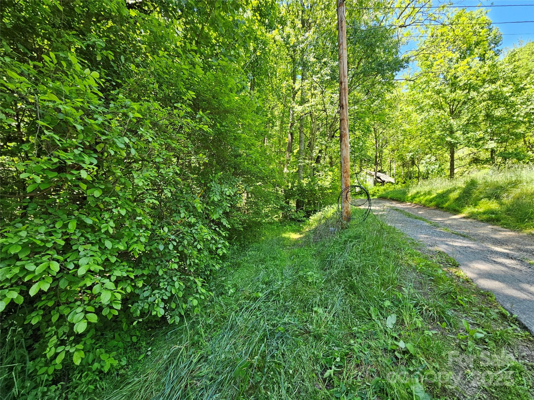 Lot at Waynesville, photo 2 of 16