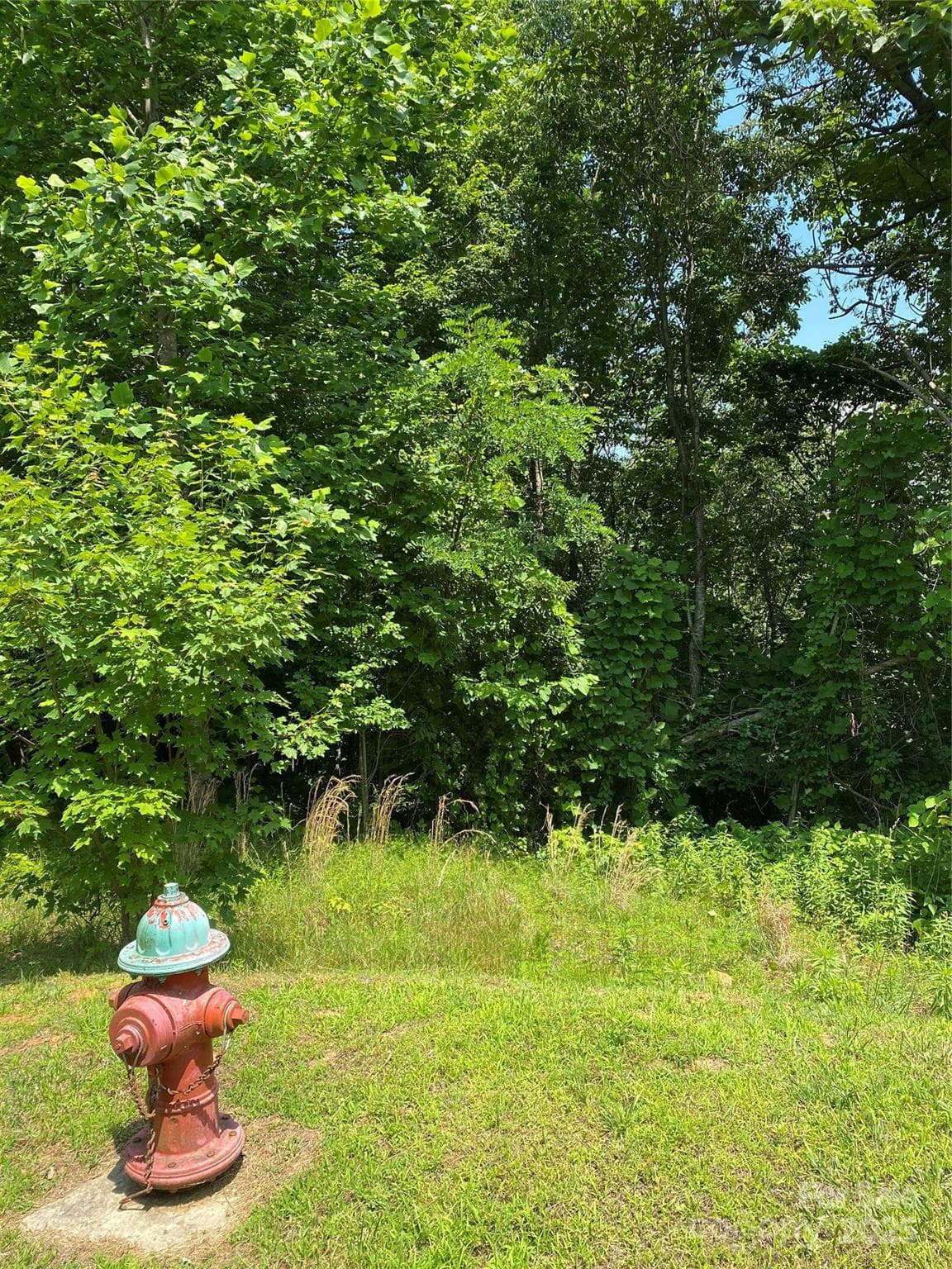 Lot at Lake Lure, photo 16 of 20