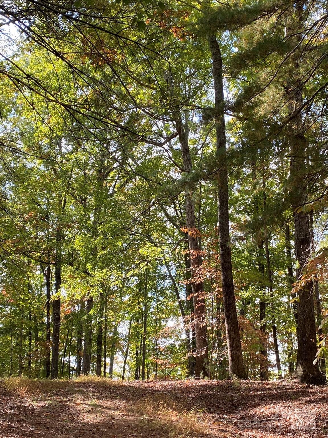 Lot at Lake Lure, photo 6 of 20
