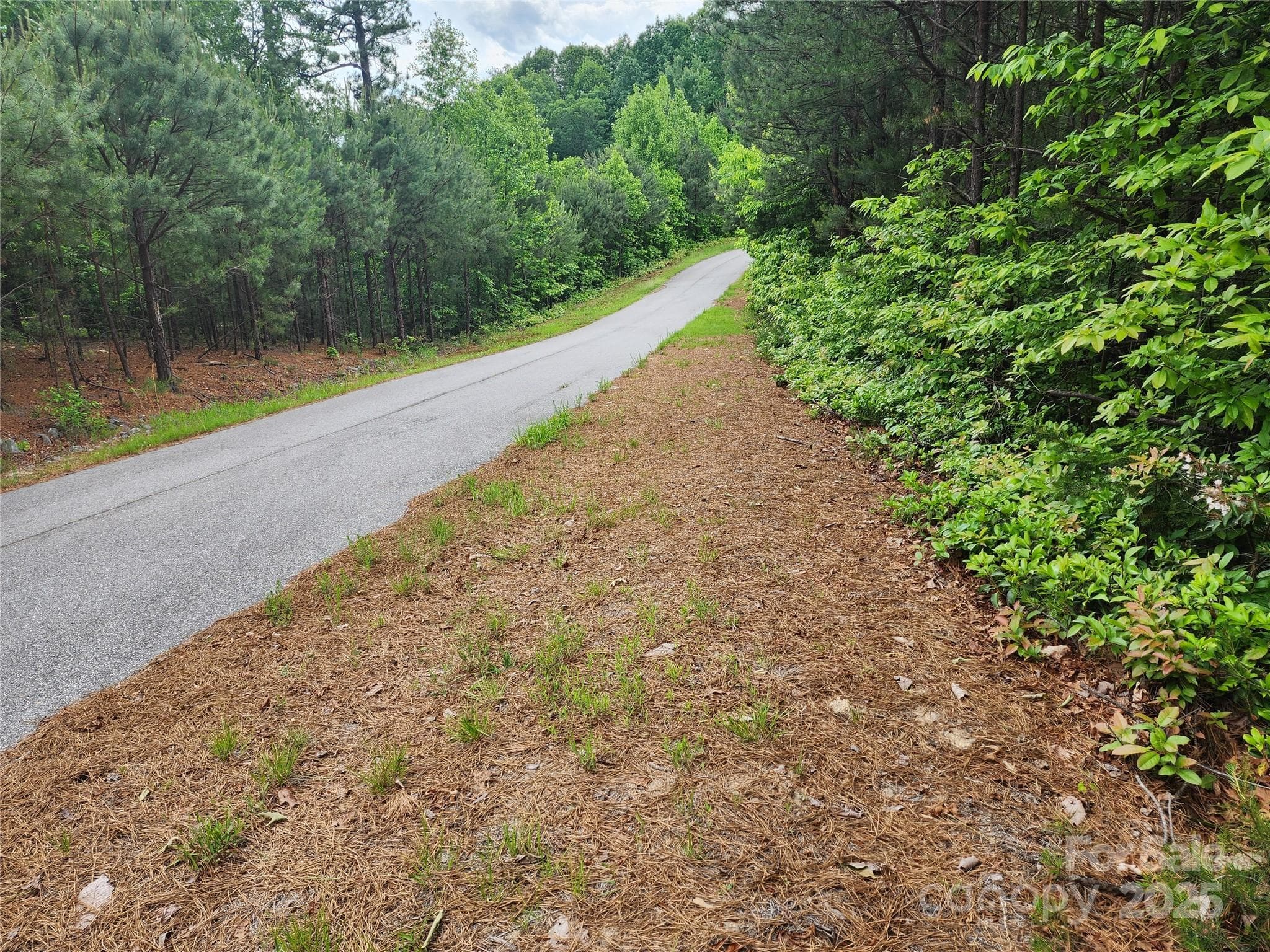 Lot at Chestnut Mountain Farms, McGrady, photo 2 of 16