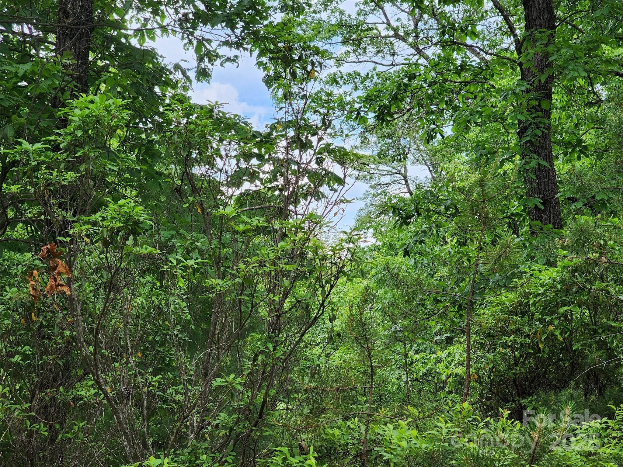 Lot at Chestnut Mountain Farms, McGrady, photo 3 of 16