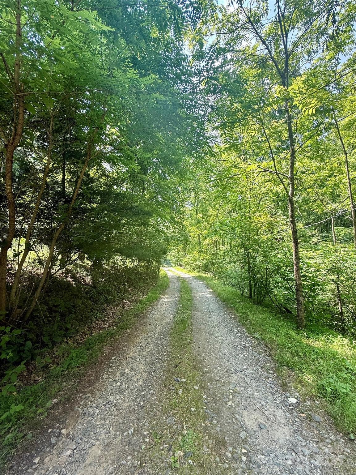Gravel road in good condition - 700 Wooded Mountain Trail, Mars Hill